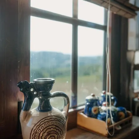 Kuca Luna Tatil Evi Gornji Milanovac